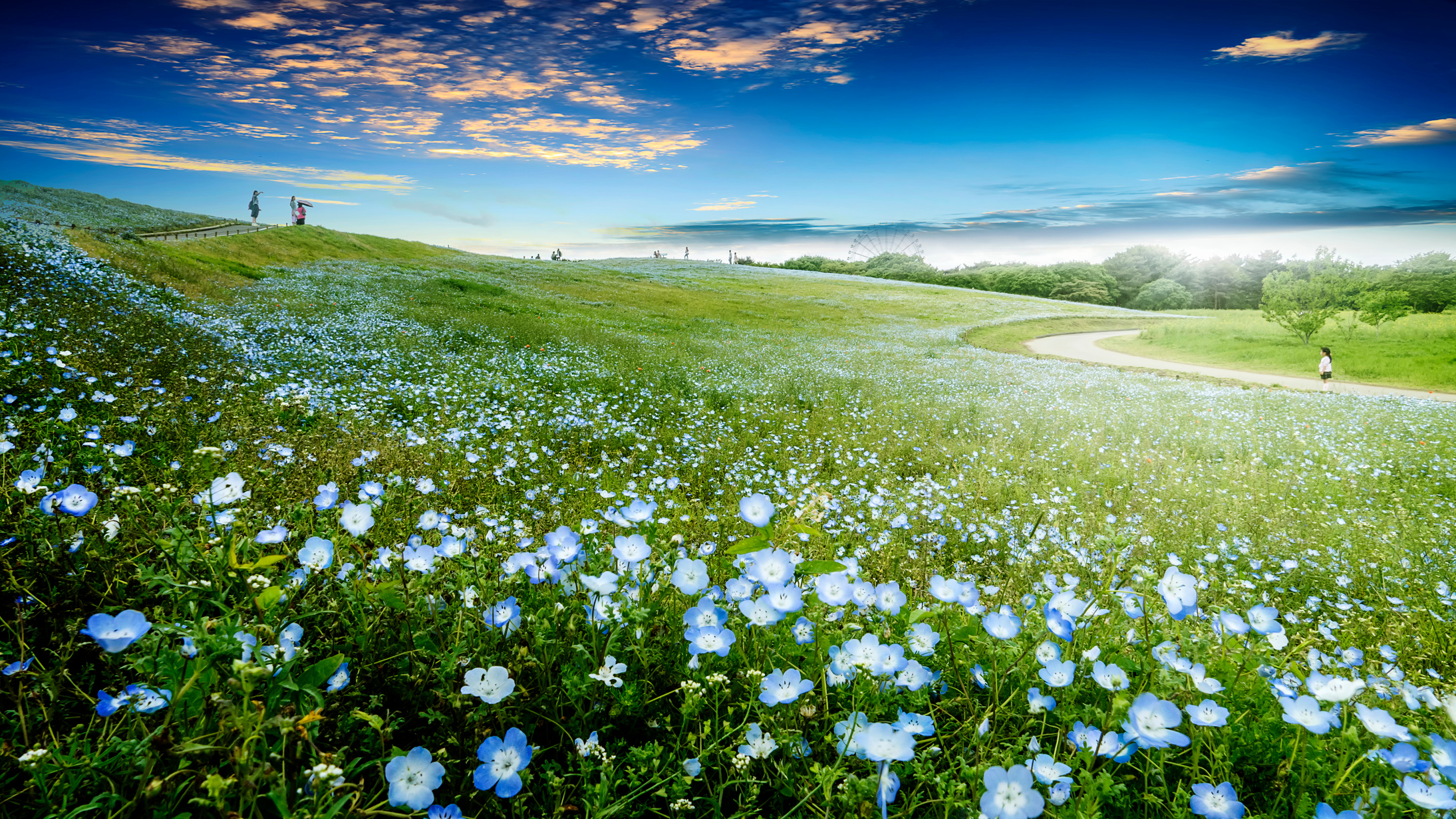 Hitachi Seaside Park